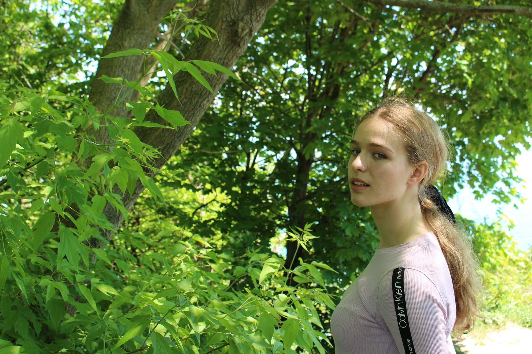 Forest I