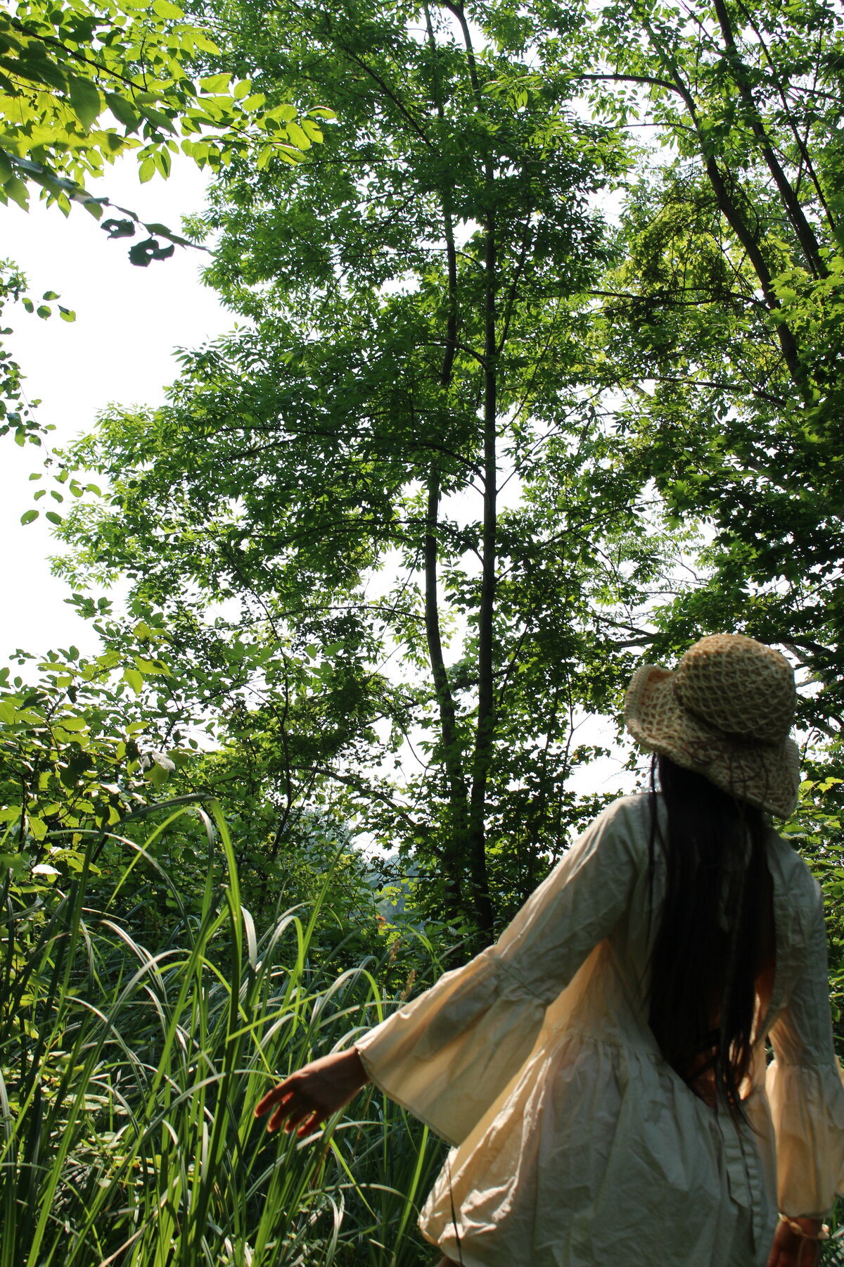 Meadow I