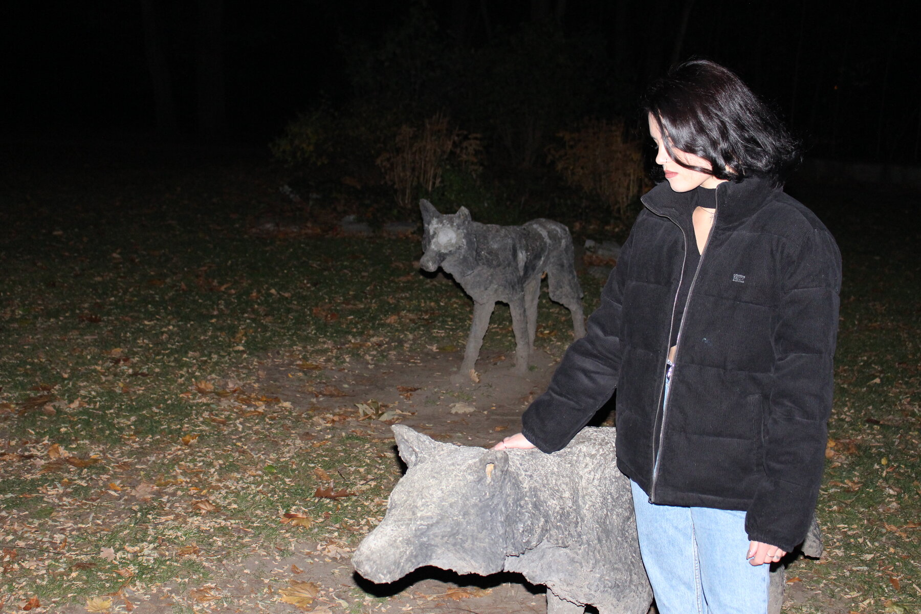 Wolf